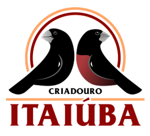 Criadouro Itaiúba Bicudo & Curió - Monte Aprazivel/SP